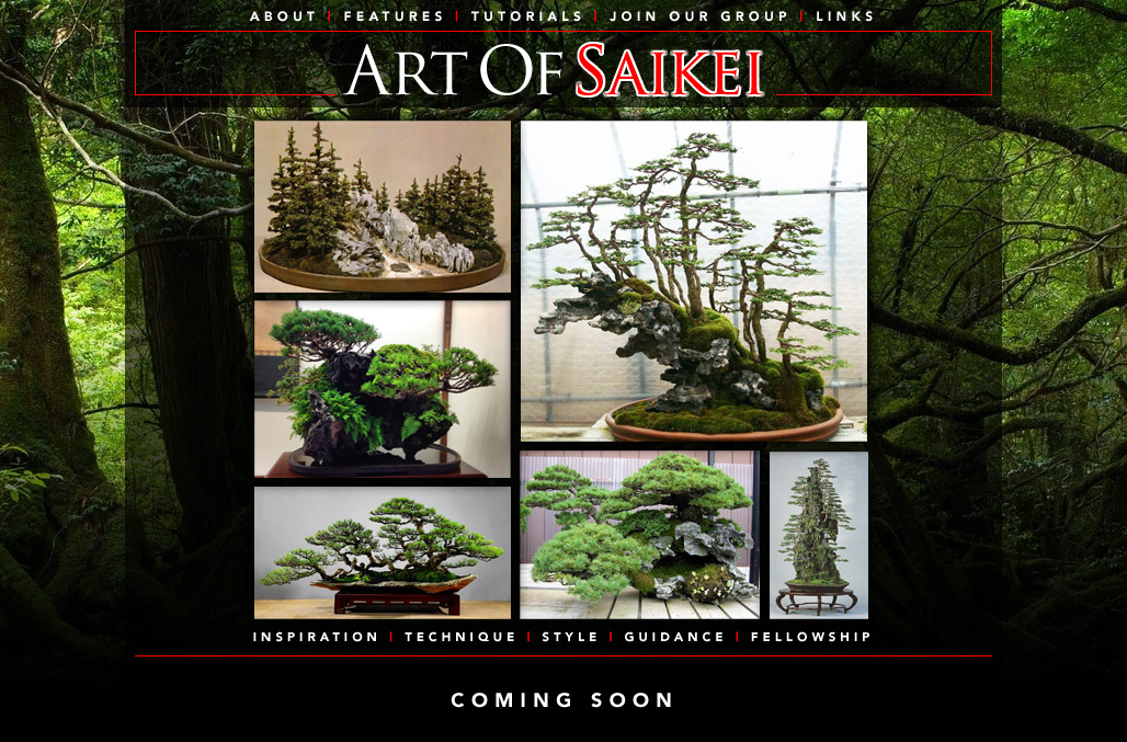 Coming Soon